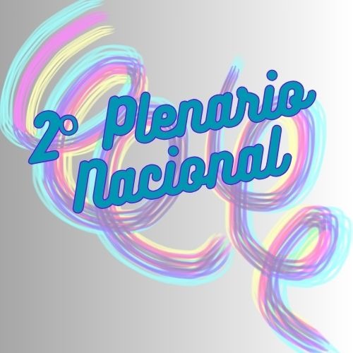 2° PLENARIO NACIONAL
